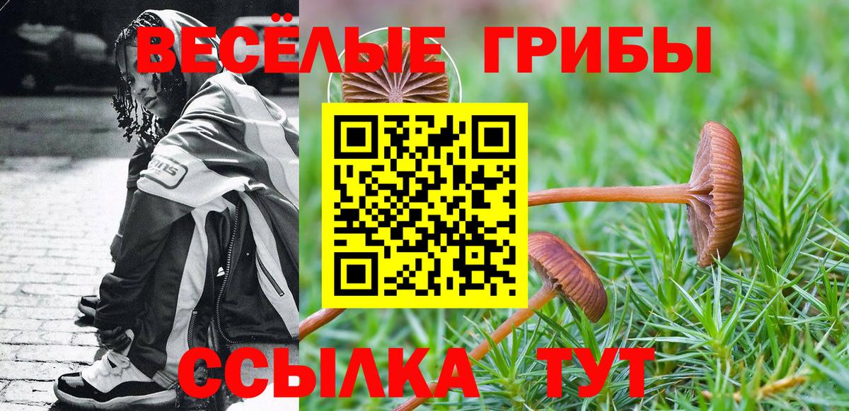 где можно купить   Псилоцибиновые грибы Magic Shrooms  Вход с VPN  Белебей 